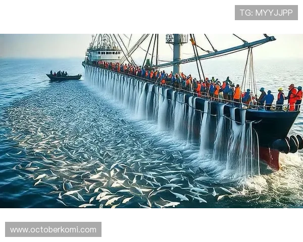 深度解析PA捕鱼网在海洋捕捞中的应用与优势